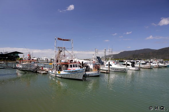 Aus19__00145 Aus19__00145