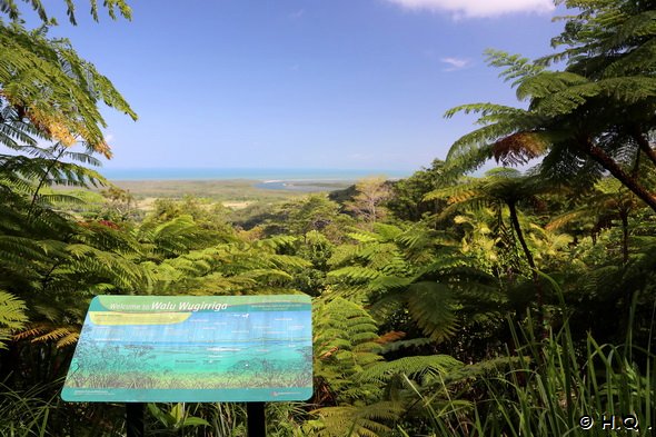 Alexandra Lookout Daintree Nationalpark