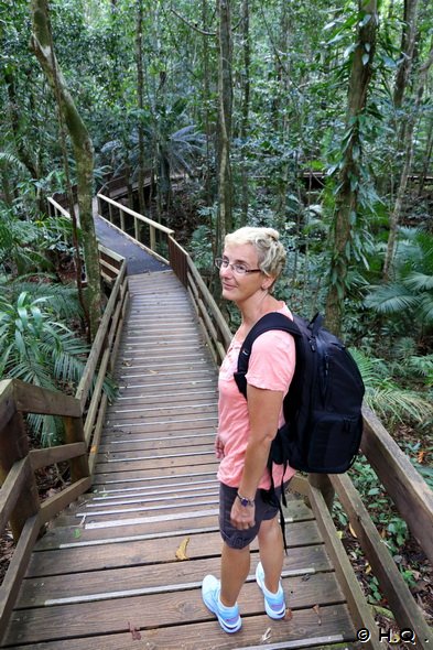 Ela auf dem Jindalba Boardwalk Daintree Nationalpark