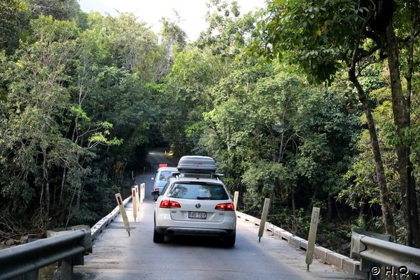 Oneway Brcke im Daintree Nationalpark