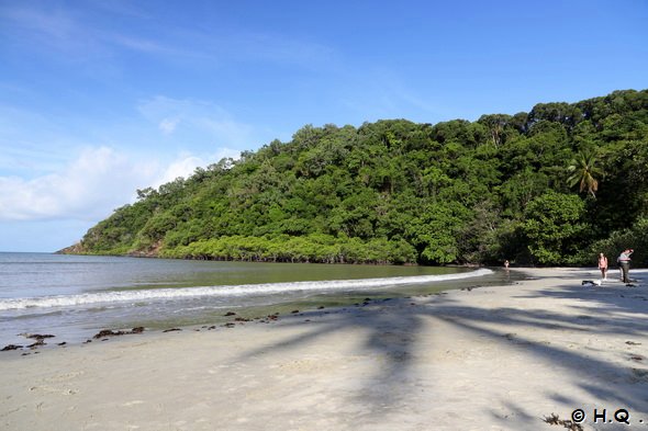 Cape Tribulation Beach Daintree Nationalpark Cape Tribulation Beach Daintree Nationalpark