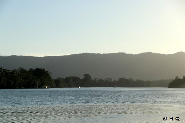 Daintree River