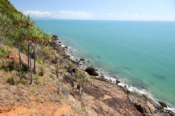 Blick vom Four Mile Beach Lookout - Port Douglas
