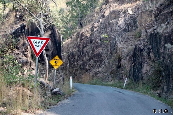 Auf dem Weg zu den Wallaman Falls 