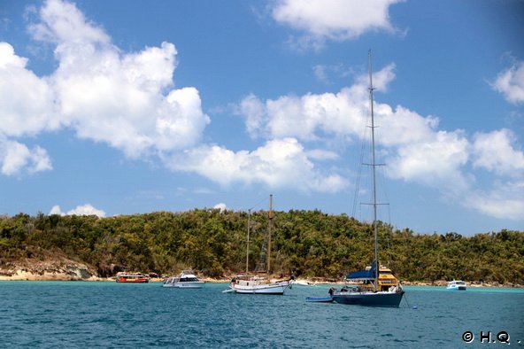 Tongue Bay - Whitesunday Island