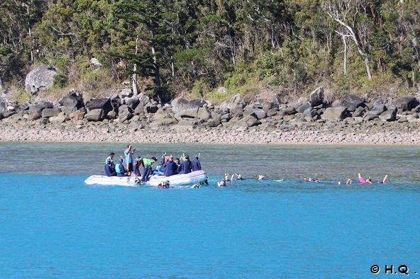 Schnorxheln am Hook Island Reef - Whitesundays