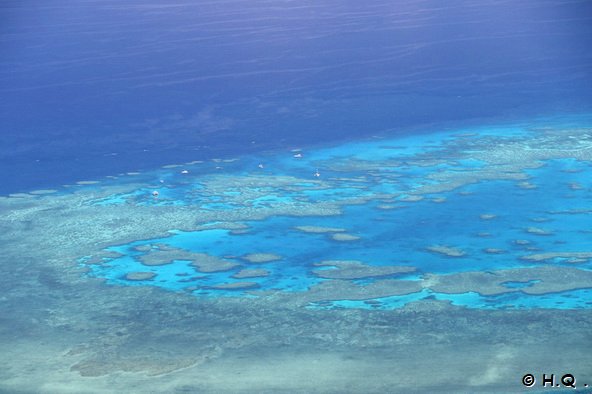 Bait Reef - Great Barrier Reef