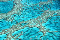 Aus19__04520_2 Aus19__04520_2