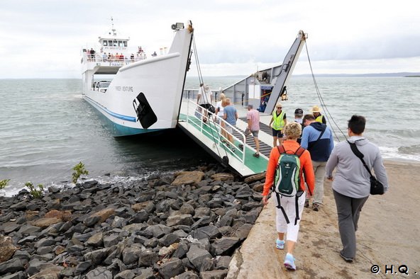 Fraser Island Fhre