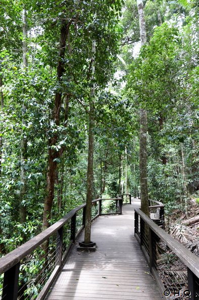 Wanderung bei Central Station auf Frasier Island