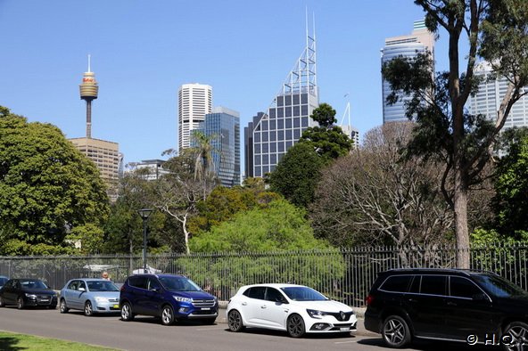 Royal Botanic Gardens Sydney