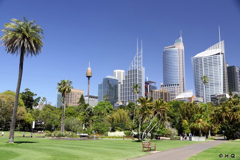 Skyline von Sydney aus dem Royal Botanic Gardens