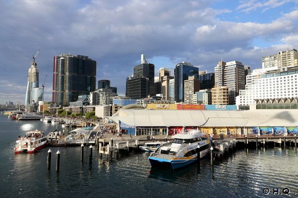 Aquarium Darling Harbour - Sydney