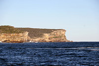Aus19__10095_2 Aus19__10095_2