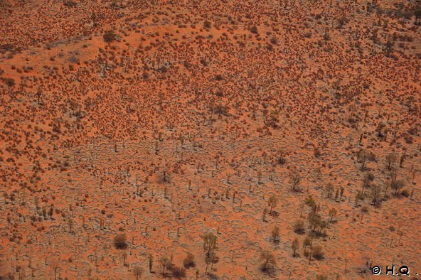 Australien Outback