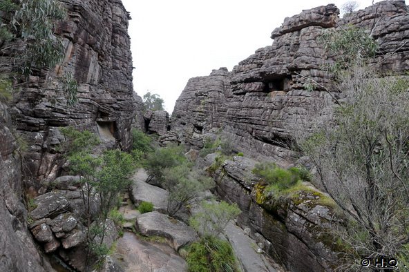 Grand Canyon - The Pinnacle - Grampians Nationalpark - Victoria - Australien Grand Canyon - The Pinnacle - Grampians Nationalpark - Victoria - Australien