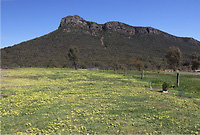 Aus19__17410_5 Aus19__17410_5