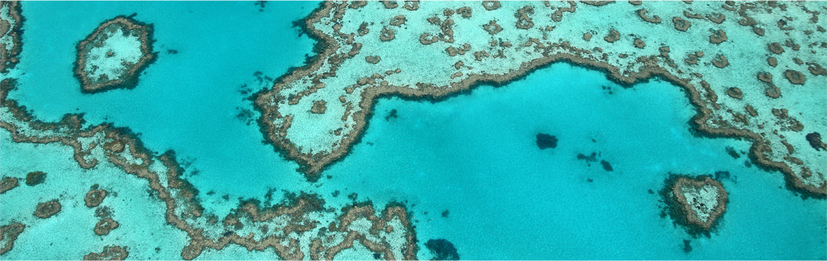 Great Barrier Reef - Heart Reef