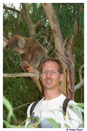 Koala + Holger