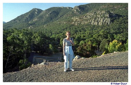 Ela im Grampians National Park