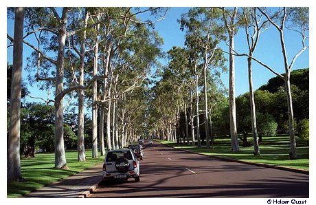 Perth - Kings Park