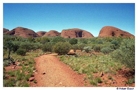 Olgas - Kata Tjuta Wanderung