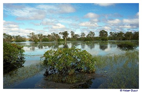 Boattour - Billabong Boattour - Billabong