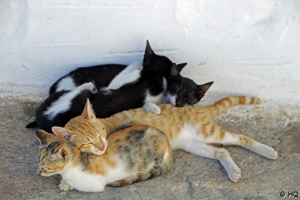 Gruppenkuscheln :-) Gruppenkuscheln :-)