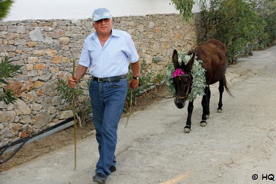 Esel auf Folegandros Esel auf Folegandros