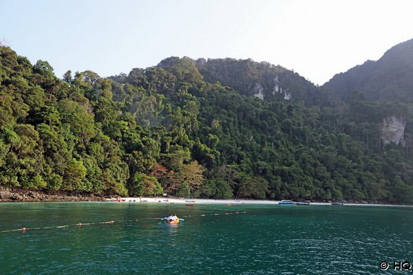 Monkey Beach - Phi Phi Don