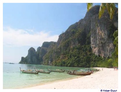 Phi Phi Island