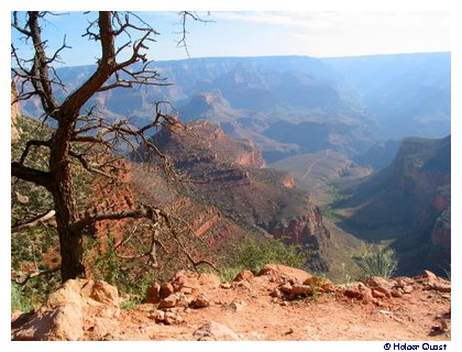 Bgriht Angel Trail