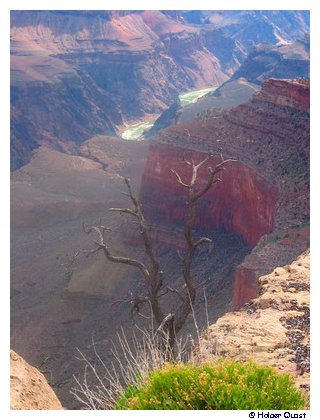 Grand Canyon - Hopi Point