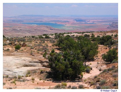 Lake Powell - Burr Trail