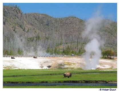 ..traumhafte Landschaft im Yellowstone