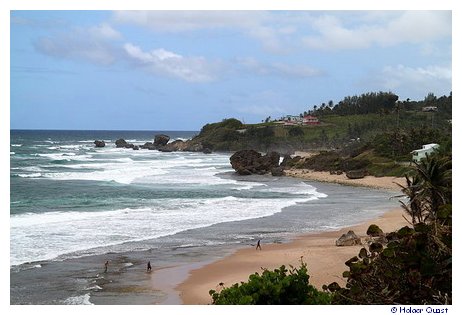 Bathsheba - Barbados