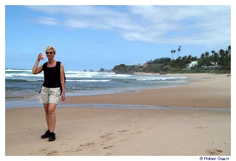 Ela bei Bathsheba - Barbados Ela bei Bathsheba - Barbados