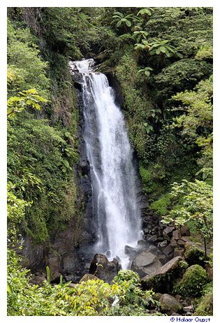 Trafalgar Falls - Dominica - Karibik