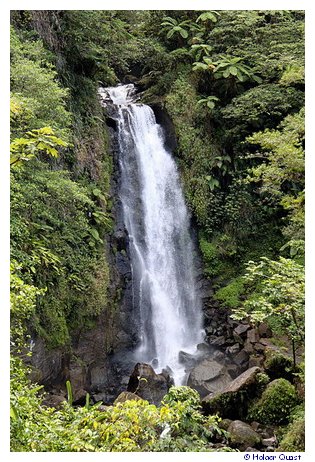 Trafalgar Falls - Dominica - Karibik Trafalgar Falls - Dominica - Karibik