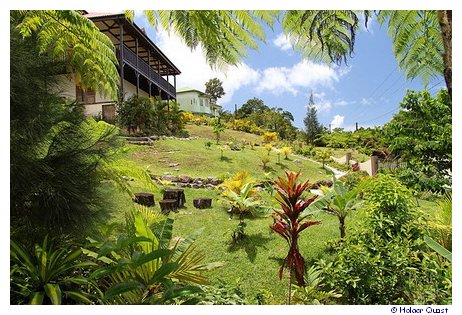 Restaurant unterwegs auf Dominica Restaurant unterwegs auf Dominica