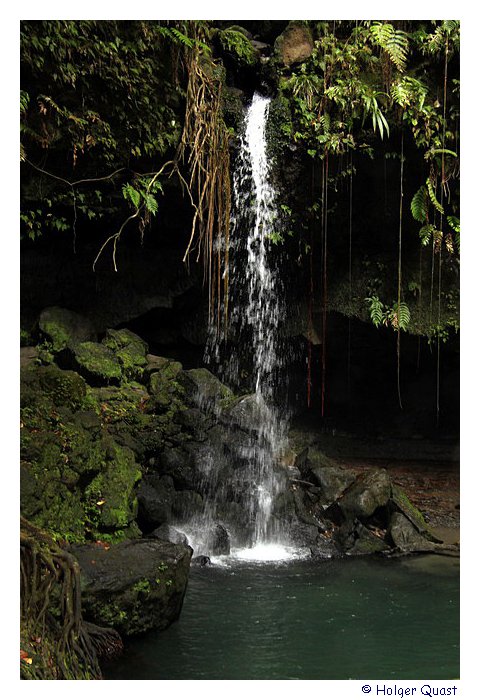  Emerald Pool - Dominica