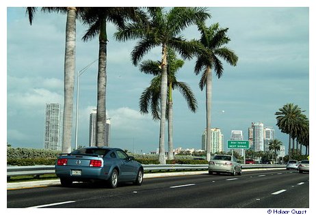 Miami Downtown Miami Downtown