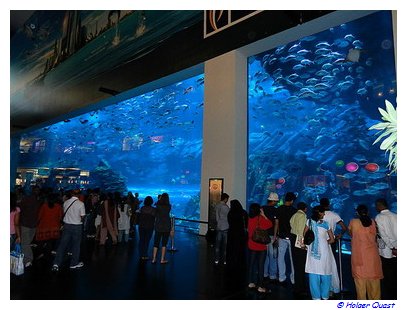 Dubai Mall - Dubai Aquarium
