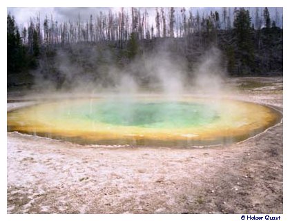 Upper Geyser Basin Upper Geyser Basin