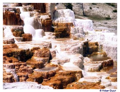 Mammoth Hot Springs 1998