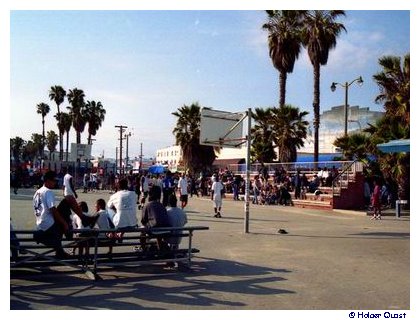 Venice Beach Venice Beach