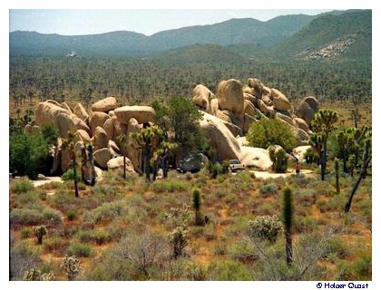 Joshua Tree National Park