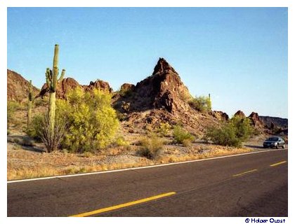 Organ Pipe Cactus National Monument