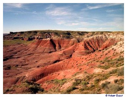 Lacey Point, Petrified Forest