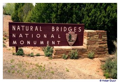 Natural Bridges National Monument